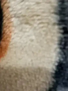 Radhaji88 online show from November 11, 2025, 2:12 pm