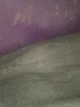 hotman29 online show from January 17, 2026, 12:48 am