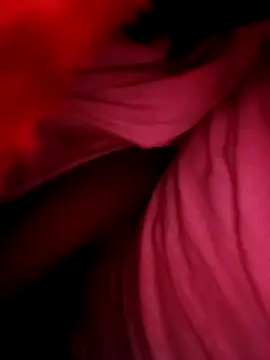 anjali9773 online show from November 12, 2025, 5:50 pm