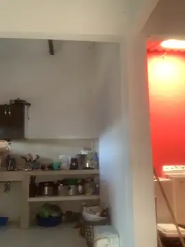 Megan2026 online show from December 3, 2025, 2:38 pm