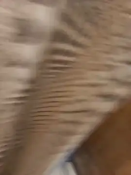 Snapshot of duoresex chatting on November 15, 2025, 2:10 pm duoresex online show from November 15, 2025, 2:10 pm