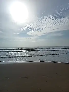 Snapshot of sexyspicy1804 chatting on November 28, 2025, 4:56 am sexyspicy1804 online show from November 28, 2025, 4:56 am