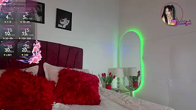 Snapshot of Scarlett_Jank chatting on February 25, 2026, 7:47 pm Scarlett Jank online show from February 25, 2026, 7:47 pm