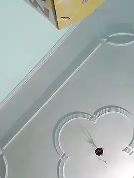 Snapshot of sanjana077 chatting on November 27, 2025, 6:14 am sanjana077 online show from November 27, 2025, 6:14 am