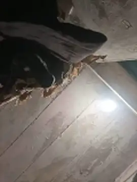 hentai fan20 online show from May 31, 2026, 4:29 am