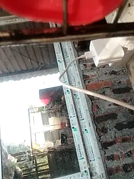 MINSSA502 online show from November 23, 2025, 6:12 am