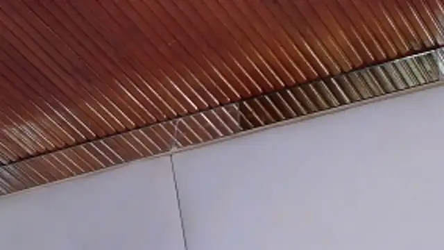 LannyShell online show from February 26, 2026, 5:24 pm