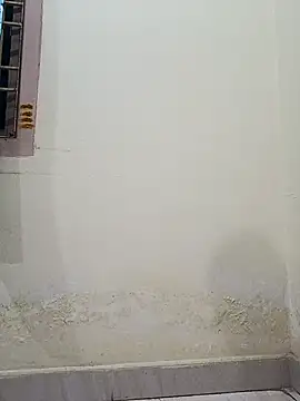 siritelugubutterfly online show from December 20, 2025, 4:21 pm