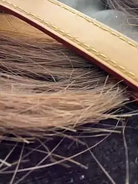 Cara-02 online show from November 19, 2025, 4:34 am