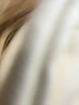 SashaCatt online show from February 23, 2026, 8:15 am