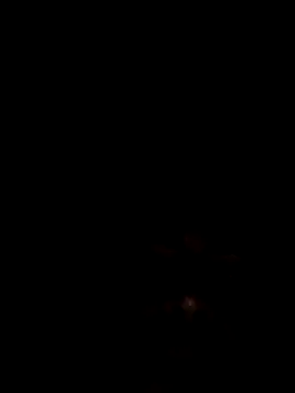 Joseerinaldo99 online show from February 14, 2026, 2:12 am