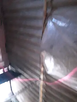 VIKIIFJD online show from November 9, 2025, 11:47 am