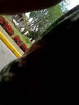 MonasticCanine online show from January 10, 2026, 4:13 pm