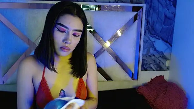 tael novacs online show from December 19, 2025, 4:27 am