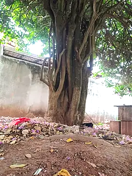 Lucasjandre online show from November 22, 2025, 10:14 am