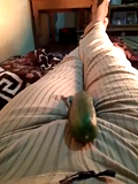 Tota sexi online show from November 28, 2025, 10:48 am