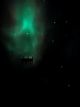 arcacsel online show from November 24, 2025, 10:54 pm