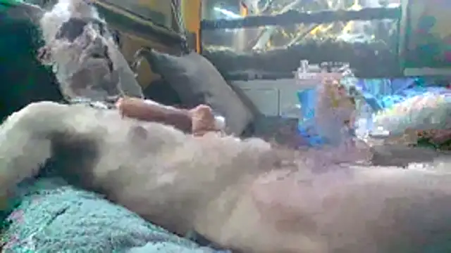 coatch1111 online show from January 9, 2026, 3:41 pm