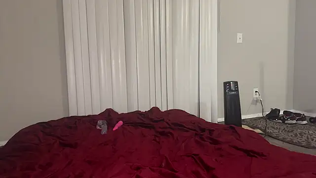 stellakobra online show from March 24, 2026, 7:52 am