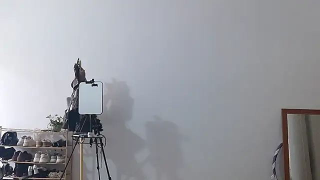 adele8731 online show from January 10, 2026, 3:02 am