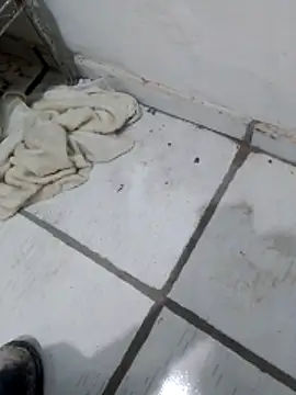 Paugostoso270515 online show from April 10, 2026, 3:19 pm