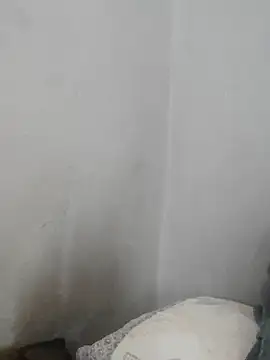 fpic online show from November 18, 2025, 4:43 pm