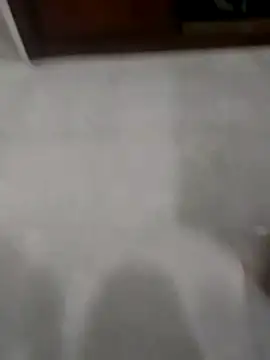 Zaginer online show from November 20, 2025, 10:31 pm