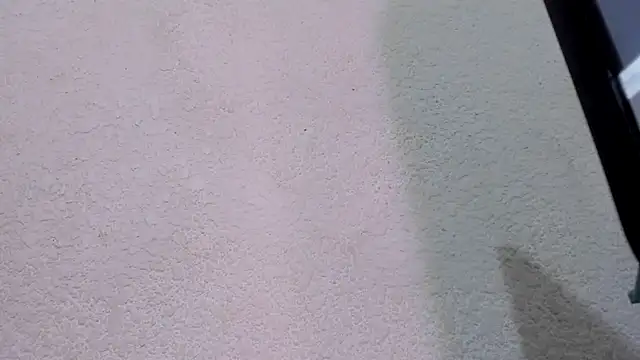 Snapshot of ebonycamelia chatting on November 22, 2025, 11:47 pm ebonycamelia online show from November 22, 2025, 11:47 pm