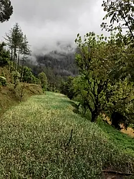 Cute Lucky online show from April 8, 2026, 6:15 am