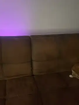 Snapshot of Little__Danni1 chatting on February 14, 2026, 2:12 am Little Danni1 online show from February 14, 2026, 2:12 am