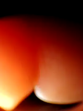 Eezxxx online show from March 23, 2026, 4:01 am