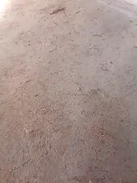 Nandani-758 online show from December 2, 2025, 10:06 am