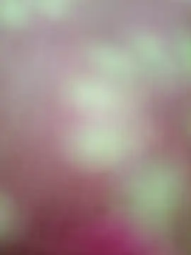 Snapshot of Nandani-758 chatting on February 20, 2026, 9:00 am Nandani-758 online show from February 20, 2026, 9:00 am