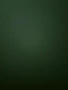 Spring-spring online show from December 1, 2025, 12:50 pm