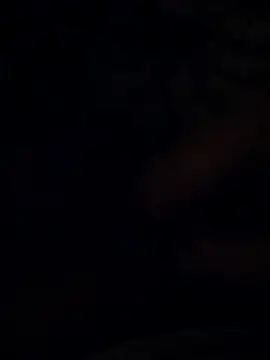 Snapshot of BarrenProtege chatting on November 24, 2025, 9:59 pm BarrenProtege online show from November 24, 2025, 9:59 pm