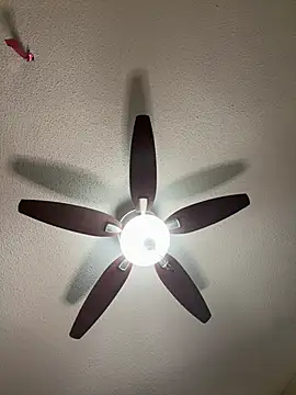 Kiki hammyy online show from February 20, 2026, 6:19 am