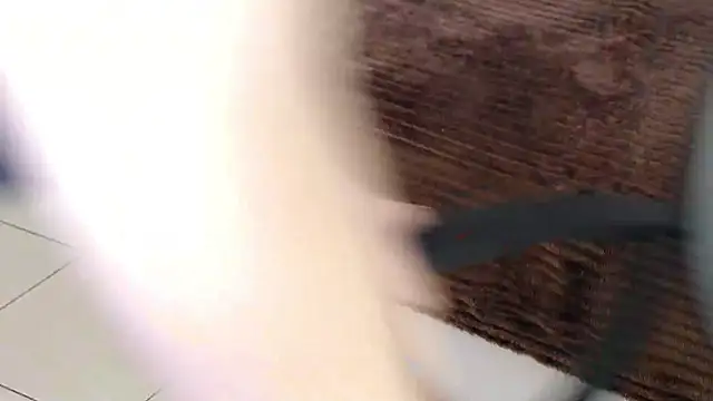 Brandy Gem online show from February 19, 2026, 7:49 am