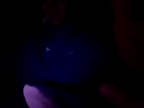 Snapshot of sqdxxx chatting on December 1, 2025, 9:37 pm sqdxxx online show from December 1, 2025, 9:37 pm