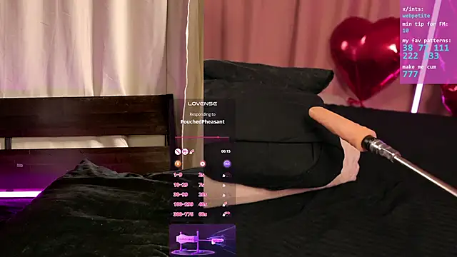 Snapshot of webpetite chatting on February 20, 2026, 6:19 am webpetite online show from February 20, 2026, 6:19 am