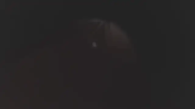 megan lenon online show from December 19, 2025, 3:10 am