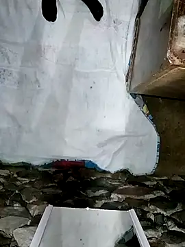 sexygosht online show from December 5, 2025, 3:05 am