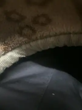 your playboy 00 online show from February 6, 2026, 6:37 pm