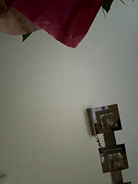 Snapshot of mellixxa chatting on December 4, 2025, 2:49 pm mellixxa online show from December 4, 2025, 2:49 pm