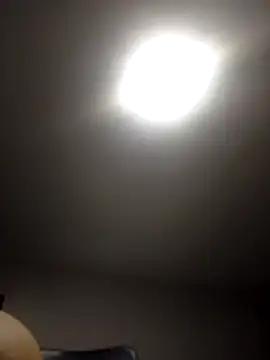 SAKURA HOT2 online show from November 30, 2025, 7:09 am