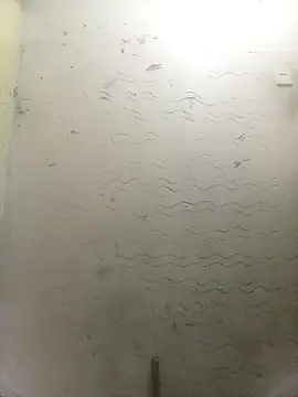 Snapshot of bebicho11 chatting on December 2, 2025, 5:53 am bebicho11 online show from December 2, 2025, 5:53 am