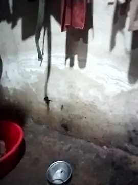 iam-eli online show from January 14, 2026, 12:31 pm