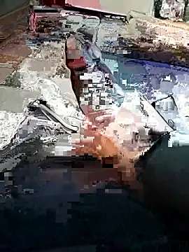 Snapshot of yacinekabiley16 chatting on February 13, 2026, 12:49 pm yacinekabiley16 online show from February 13, 2026, 12:49 pm