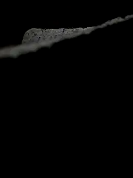 Snapshot of 634Josh chatting on December 3, 2025, 8:36 am 634Josh online show from December 3, 2025, 8:36 am