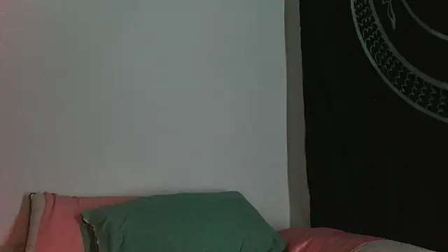 Snapshot of cupcakeclown chatting on March 29, 2026, 4:36 am cupcakeclown online show from March 29, 2026, 4:36 am