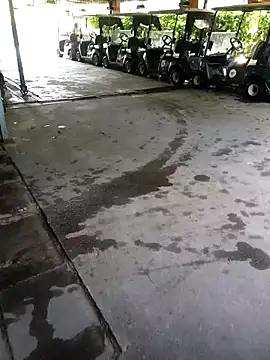 Ynotsz online show from December 23, 2025, 9:19 am